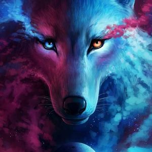 Meet your Posher, Noah